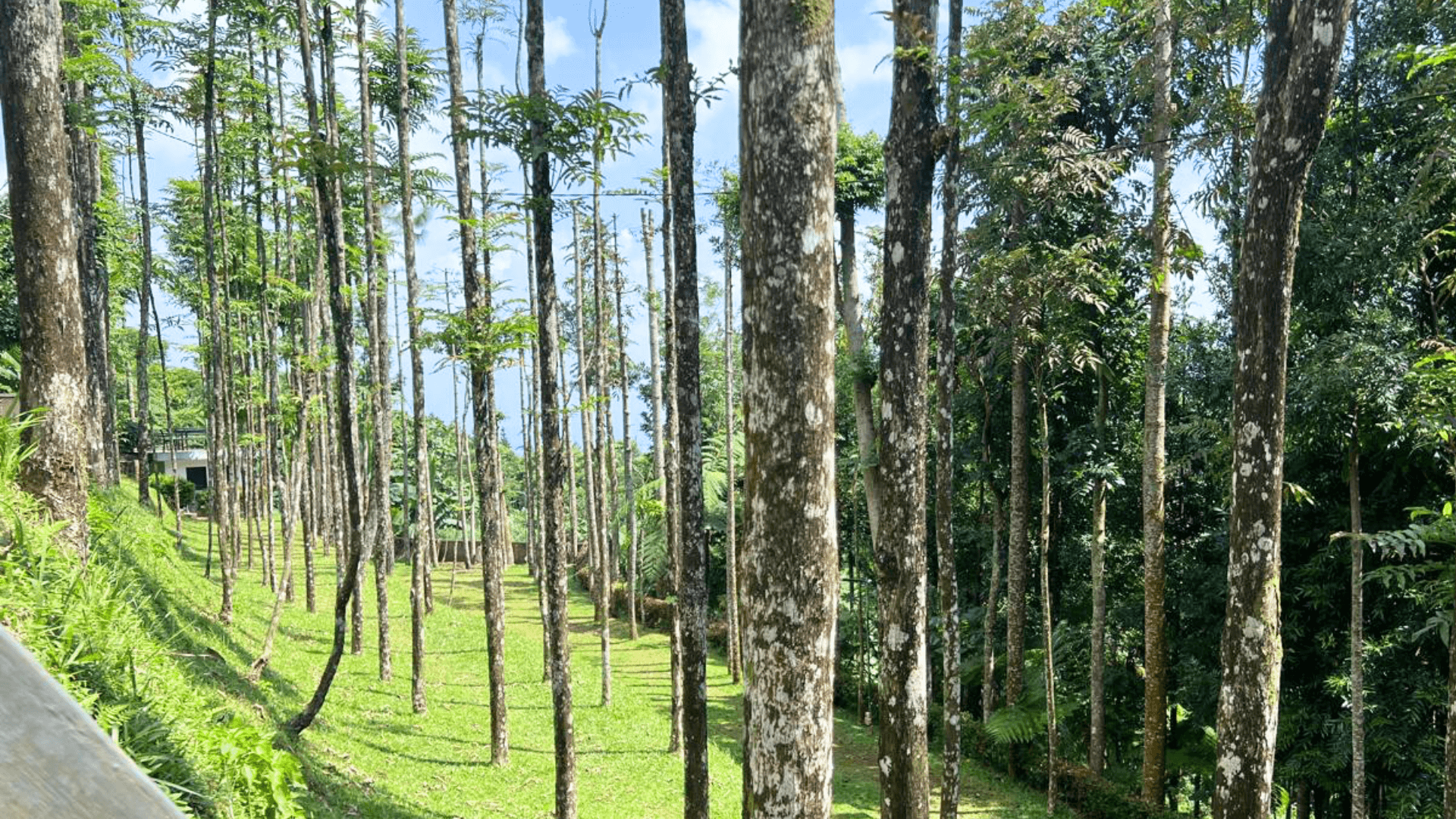 Lokasi 2